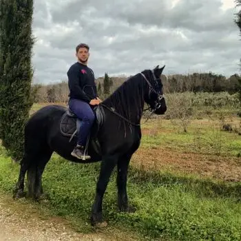 Accompagnatore gigolo BLU