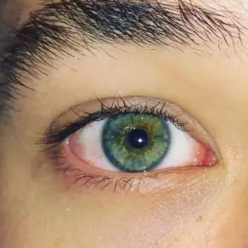 Accompagnatore gigolo Lupo