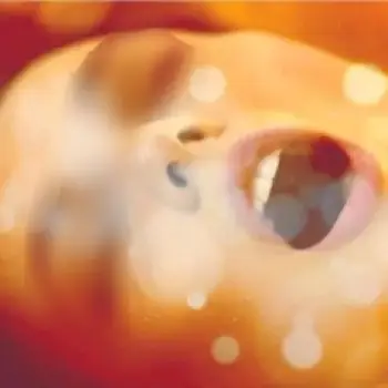 Accompagnatore gigolo Tantraman