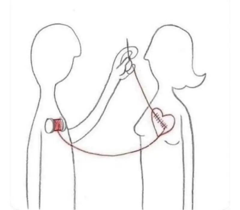 Non tutti gli uomini distruggono, alcuni gigolo riparano i disastri degli altri.